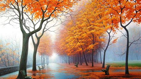 Hd Wallpaper Nature November Autumn Maple Fall Season Leaves
