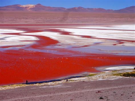 Laguna Colorada Wallpapers Wallpaper Cave