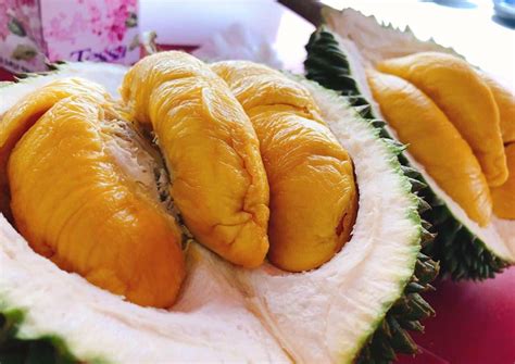 Durian is a popular tropical fruit native to southeast asia, and is known for its spiky outer shell and strong, pungent smell. $4.50 durian buffet and other durian buffet promotions to ...