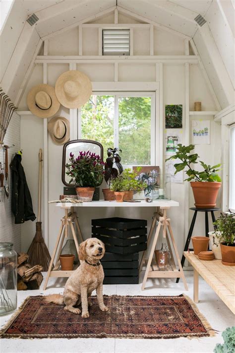 Garden Shed Interior Decorating Ideas