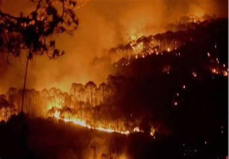Massive Wildfires In Uttarakhand Almora Nainital
