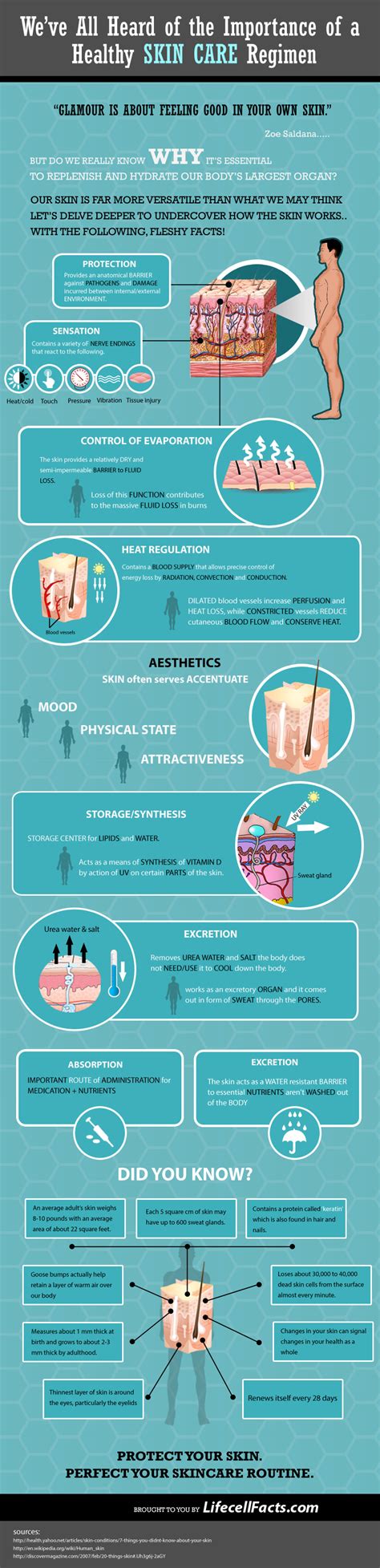 The Importance Of A Healthy Skin Care Regimen Infographic