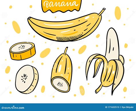 Banana Whole And Slice Set Hand Drawn Vector Illustration In Cartoon