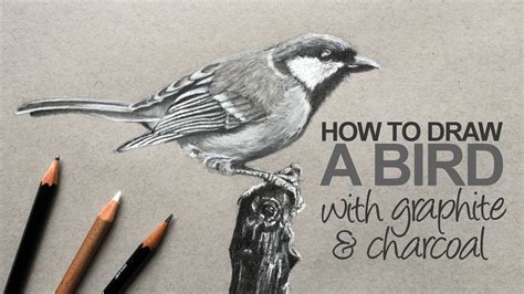 How To Draw A Realistic Bird Youtube