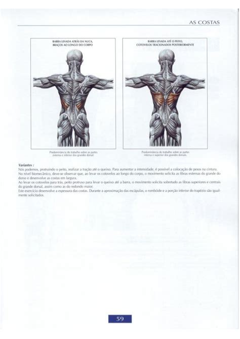 Guia dos movimentos de musculação abordagem anatômica português il Wing Chu Art Model