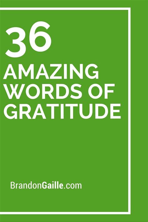 36 Amazing Words Of Gratitude Thank You Card Sayings Thank You