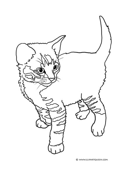 She will panic and start shrieking her little head off. Tabby Cat Coloring Pages at GetColorings.com | Free ...