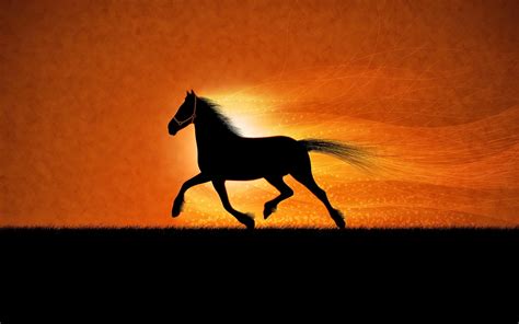 Windows 8 Hd Wallpapers Horses Hd Wallpapers