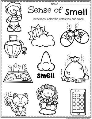 Kids draw something they hear at the zoo for this kindergarten science worksheet. 5 Senses | Senses preschool, Five senses preschool, 5 ...