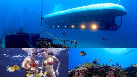 atlantis adventures maui snorkel cruise tour and atlantis maui submarine tour