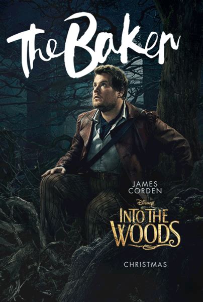 The Baker Into The Woods Disney Wiki
