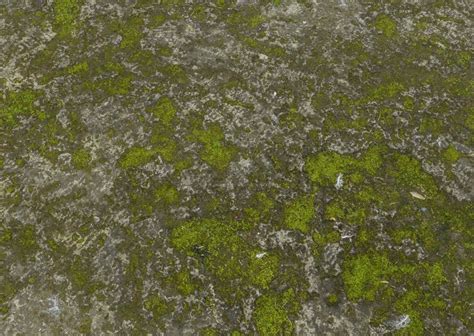 Stone Moss 3d Cgtrader