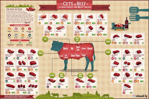 Different Cuts Of Meat Infographic To Select And Cook Them