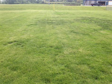 Smart Turf Fescue Bluegrass And Bermudagrass Athletic Fields In Indiana