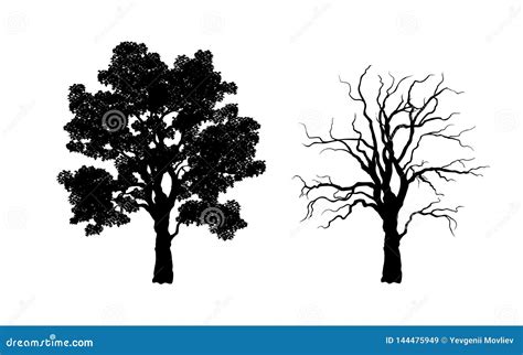 Black Silhouette Of Tree Forest Plant Stock Vector Illustration Of