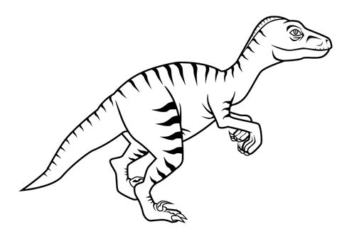 This colorful second volume here are the free dinosaur coloring pages to print that your kid will enjoy coloring. Free New Dinosaur Velociraptor Coloring Pages For Kids ...