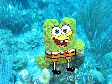 If Spongebob Squarepants Characters Were Real
