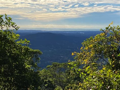 Mt Nebo Lookout Track Aussie Bushwalking