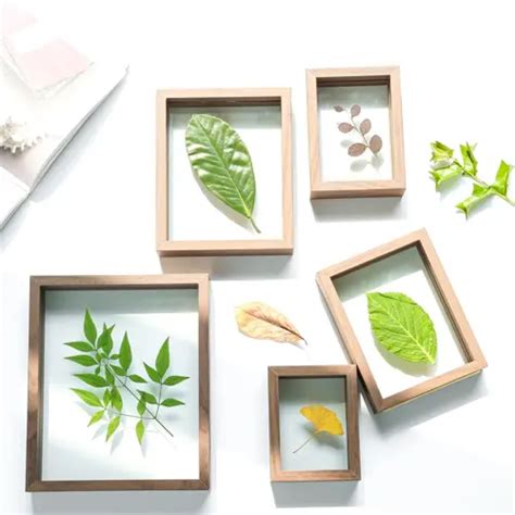 Double Sided Glass Plant Specimen Frame For Pressed Flowers Dried Leaf