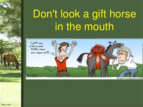 Do You Have Horse Sense