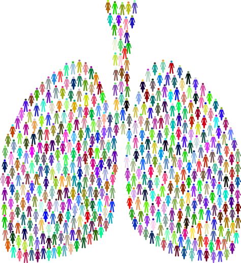 Lungs Clipart Biology Science Lungs Biology Science Transparent Free