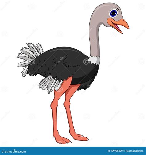 Cute Ostrich Cartoon Stock Vector Illustration Of Funny 139785800