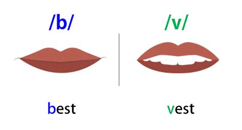 Pronunciation & phonetics by the english language club. PRONUNCIATION: Pronouncing /b/ and /v/