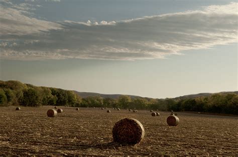 • corn stalk baling is extremely hard on equipment ($$$$) o root base still in ground and plant stalk still attached to root base is extremely hard on pickup components. Corn stalk bales. | Natural landmarks, Stalking, Landmarks