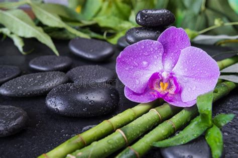 spa concept with zen stones orchid flower and bamboo stock image image of chinese pink