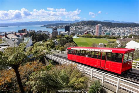 Mount Victoria Lookout How To Get The Best Views Of Wellington