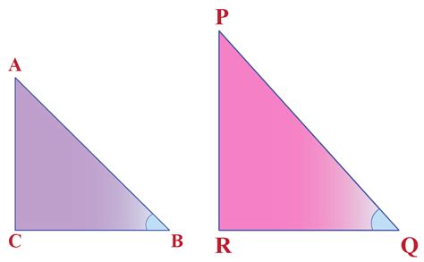 The trigonometric functions are equal to ratios that relate certain side lengths of a right triangle. Trigonometric Ratios In Right Triangles Answer / Trigonometric Ratios in Similar Triangles ...
