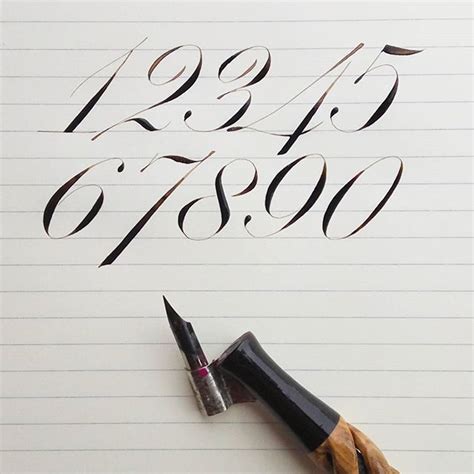 Copperplate Calligraphy Inspiration Tattoo Writing Fonts Number