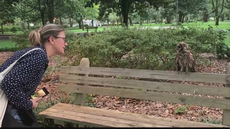 Savannah Woman Bonds With Owl Rapoa2