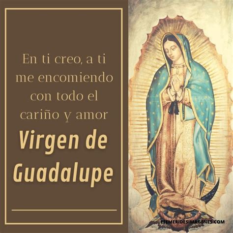 Introducir 85 Imagen Frases De Felicitacion A La Virgen De Guadalupe
