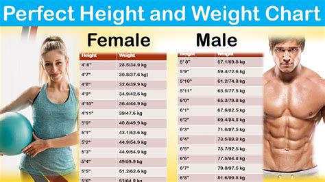 Perfect Height And Weight Chart For Men And Woman Perfect Height Weight Chart Youtube