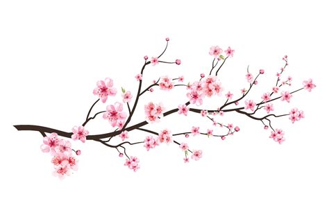 Realistic Cherry Blossom Branch Cherry Blossom With Pink Sakura Flower