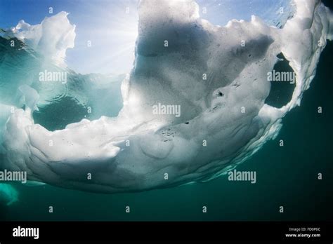 Canada Nunavut Territory Underwater View Of Melting Iceberg Floating