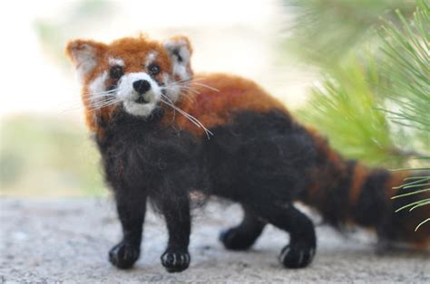 Needle Felted Red Panda Ooak Collectible Artist Wool Soft Flickr