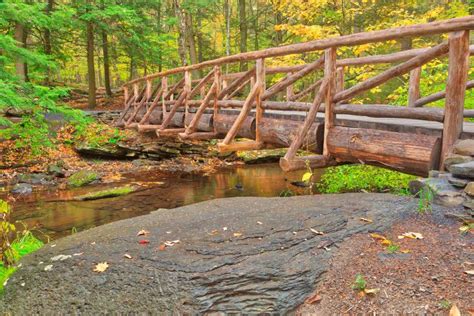 Autumn Log Bridge Hdr Free Stock Photo By Nicolas Raymond On