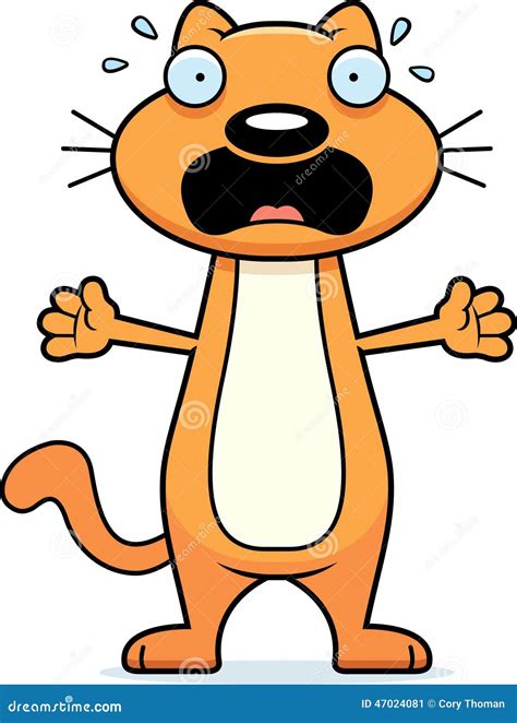 Scared Cartoon Cat Stock Vector Illustration Of Panicking 47024081