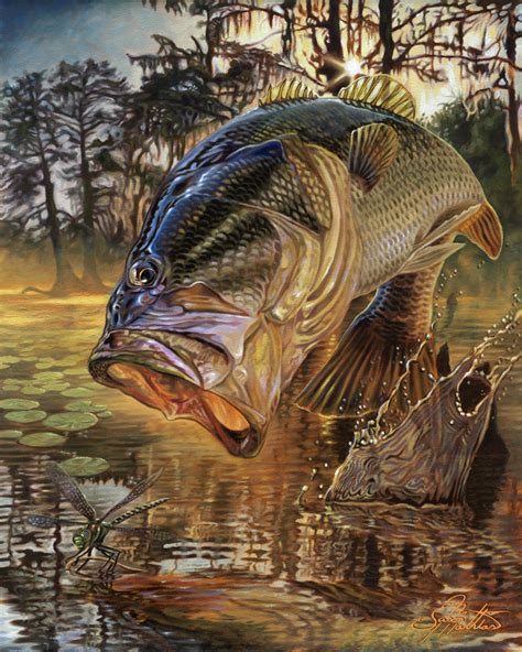 Large Mouth Bass Drawing At Getdrawings Free Download