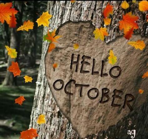 Heart Tree Carving Hello October October Hello October October Quotes