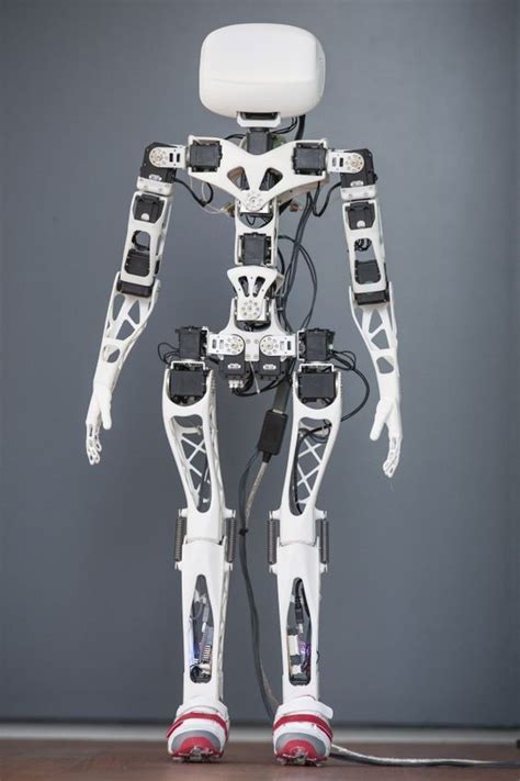 Poppy Open Source 3d Printed Humanoid Robots Humanoid Robot 3d