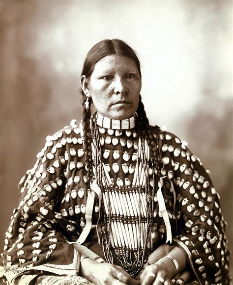 Native American Woman Portrait Of An Photograph By Everett Fine Art America