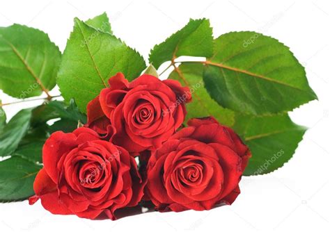 Red Roses Bunch Stock Photo By ©subbotina 10677791