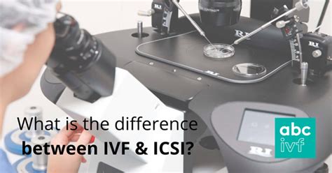 What Is The Difference Between Ivf And Icsi Ivf Blog Abc Ivf