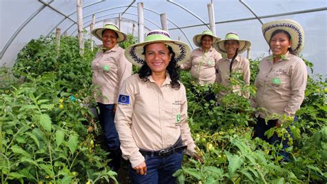 Participación Laboral Femenina En América Latina Más Y Mejor Es