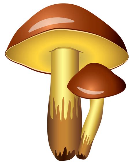 Free Free Cliparts Mushroom Download Free Free Cliparts Mushroom Png