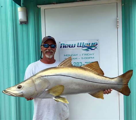 Snook Mounts Replica Fish Mounts From New Wave Taxidermy