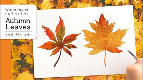 How To Paint Autumn Leaves In Watercolor 수채화 가을 단풍잎 그리는 방법 Youtube